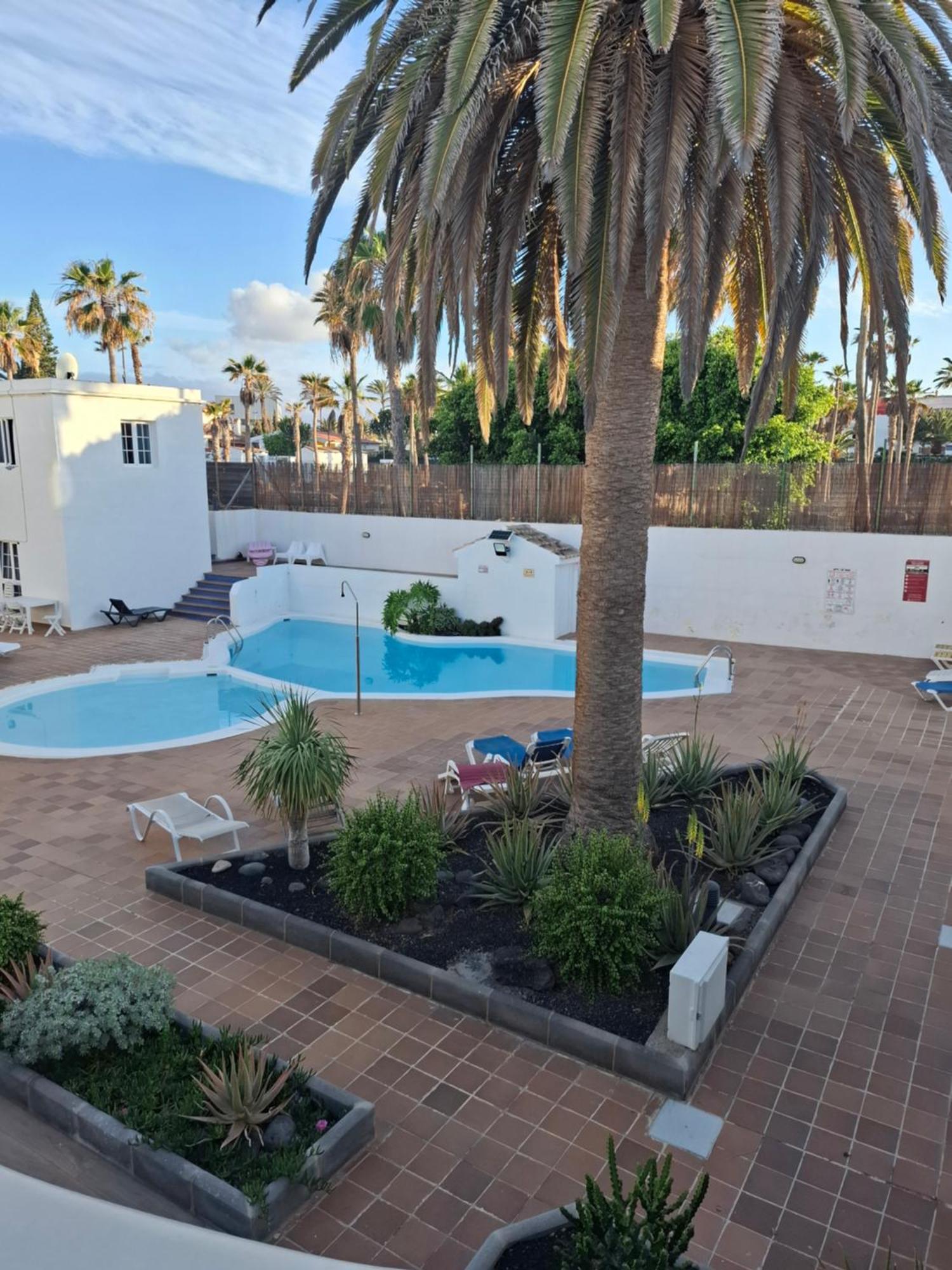 Apartment Olas *